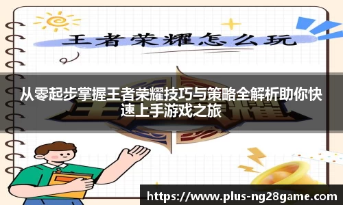 ng28官网
